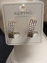 14K Gold Gümüş Taşlı Halka Küpe