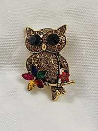 Renkli  Baykuş Broş