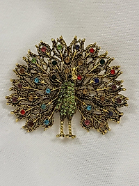 Tavuskuşu Renkli Broş