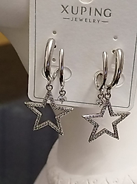 14K Gümüş Yıldız Detay Küpe